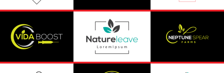 professional and minimalist logo design